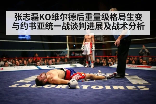 张志磊KO维尔德后重量级格局生变与约书亚统一战谈判进展及战术分析